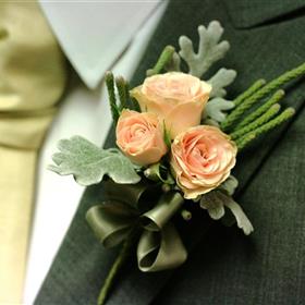 fwthumbSpray roses & seneccio.jpg